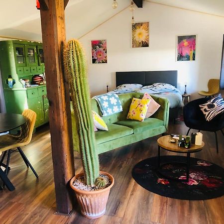 B &B Yuupke Maasbree Noord-Limburg Venlo Roermond Bed & Breakfast Екстериор снимка