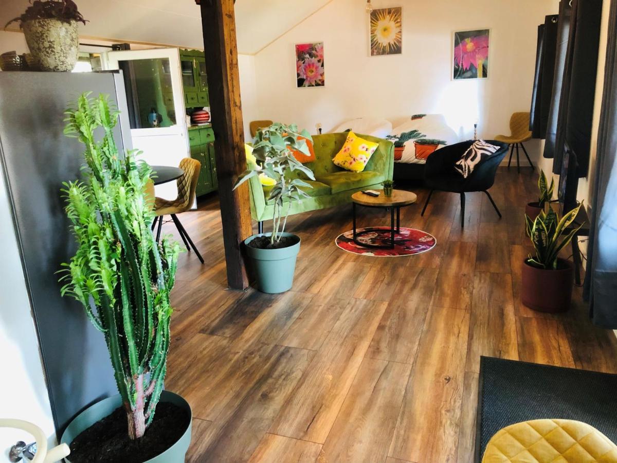 B &B Yuupke Maasbree Noord-Limburg Venlo Roermond Bed & Breakfast Екстериор снимка