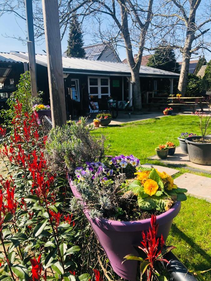 B &B Yuupke Maasbree Noord-Limburg Venlo Roermond Bed & Breakfast Екстериор снимка