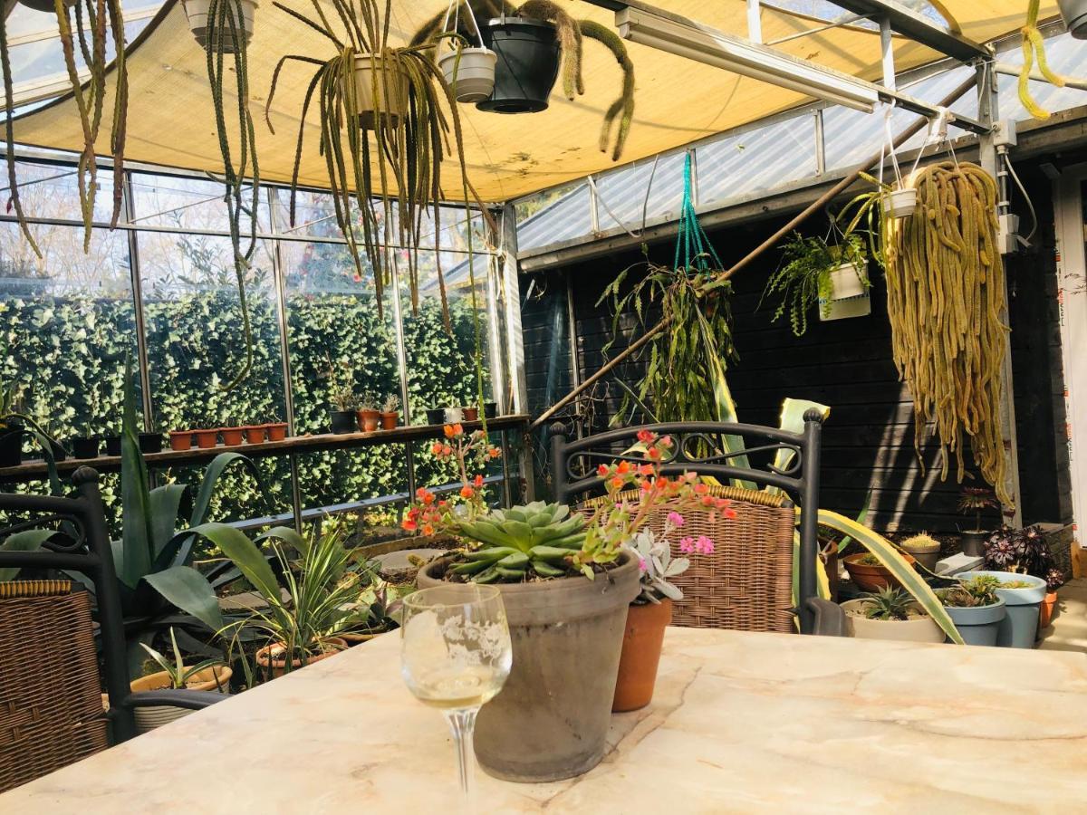 B &B Yuupke Maasbree Noord-Limburg Venlo Roermond Bed & Breakfast Екстериор снимка