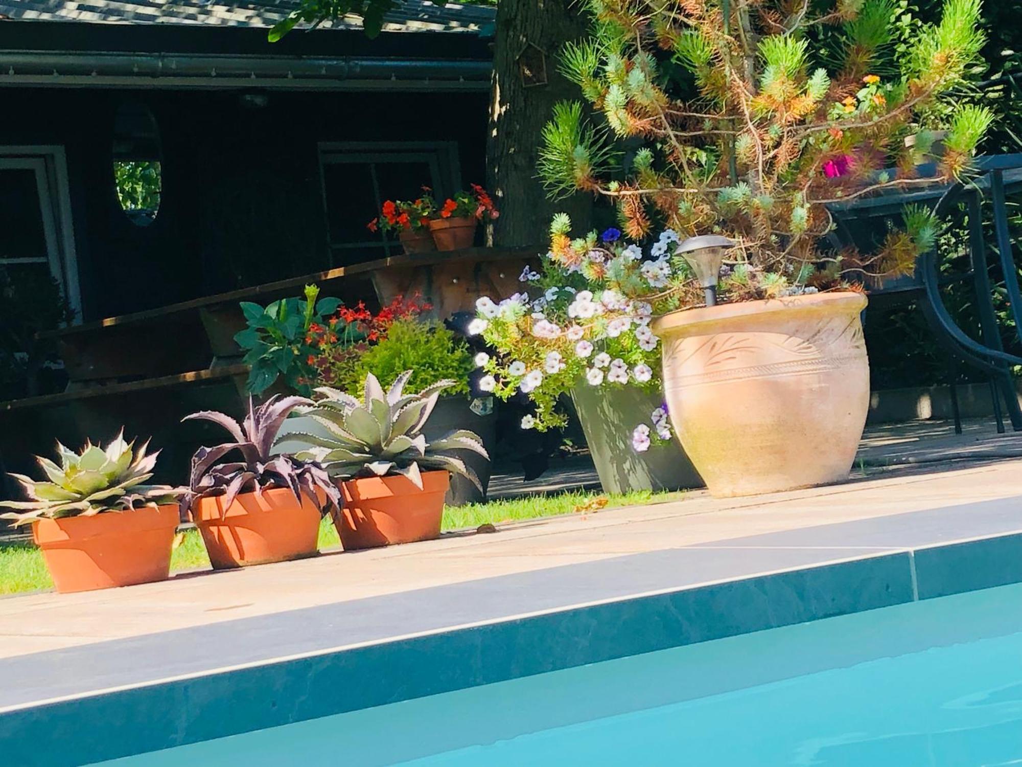 B &B Yuupke Maasbree Noord-Limburg Venlo Roermond Bed & Breakfast Екстериор снимка