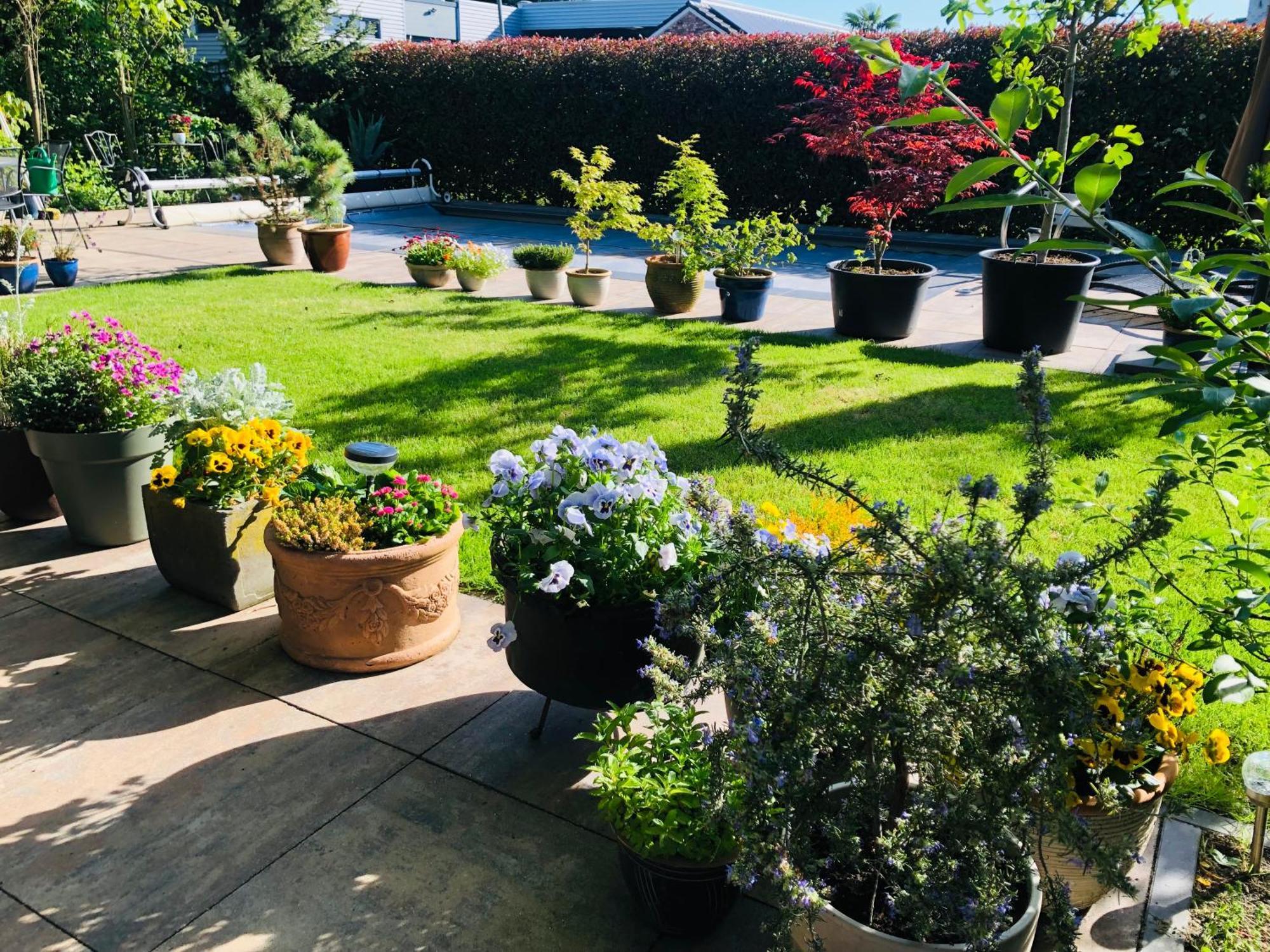 B &B Yuupke Maasbree Noord-Limburg Venlo Roermond Bed & Breakfast Екстериор снимка